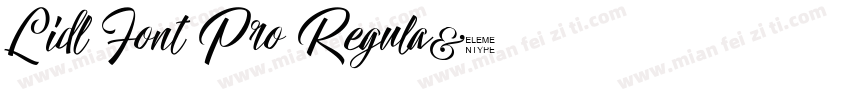 Lidl Font Pro Regula字体转换